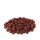 Carpline24 - Robin Red Boilies - 5 kg 16 mm