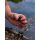 Fox - Black Label QR Powerpoint Bankstick 18"