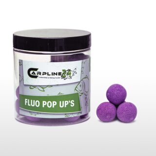 Carpline24 - Fluo Pop Ups - Violett 20 mm Robin Red
