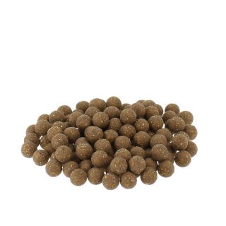 Carpline24 - Fischmehlboilies NEUTRAL - 1 kg 16 mm