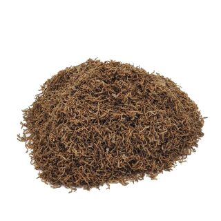 Rote Mückenlarven FD getrocknet / Bloodworms 10 kg
