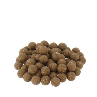 Carpline24 - Fischmehlboilies NEUTRAL - 5 kg 20 mm