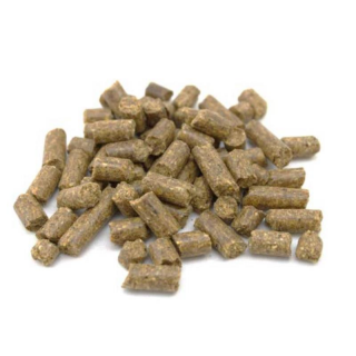 Maispellets / Fisch 1 kg